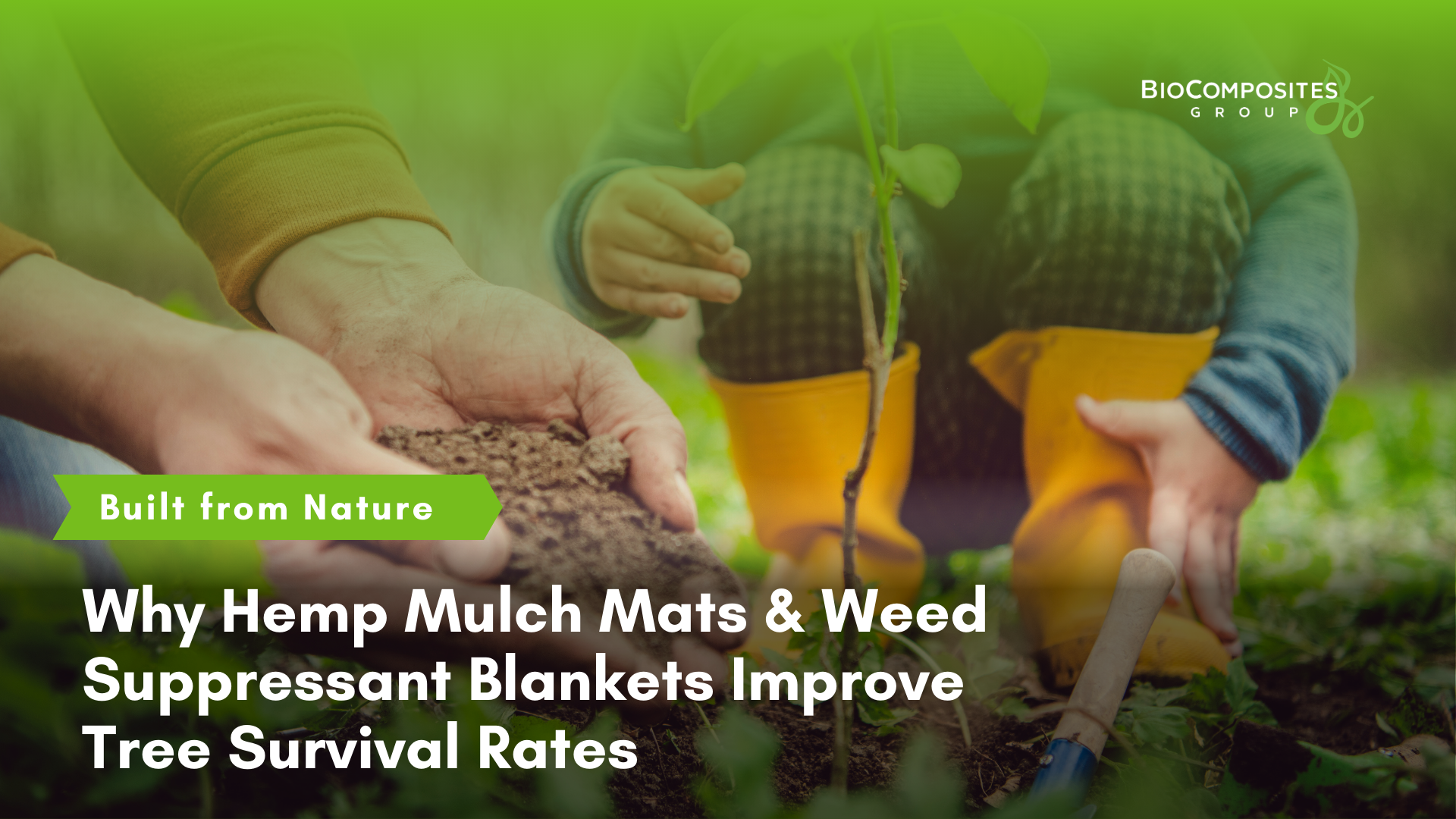 Why Hemp Weed Suppressant Blankets Improve Tree Survival Rates