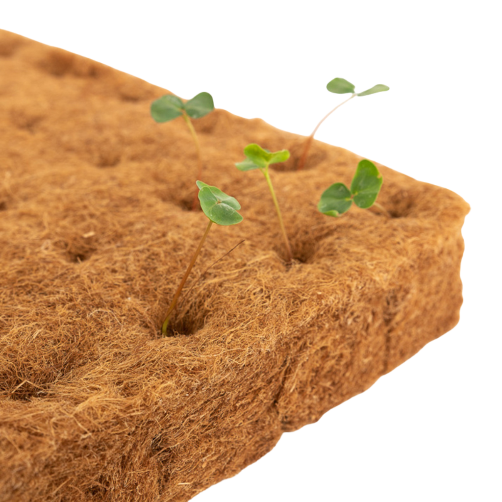 Growing Cube 2"