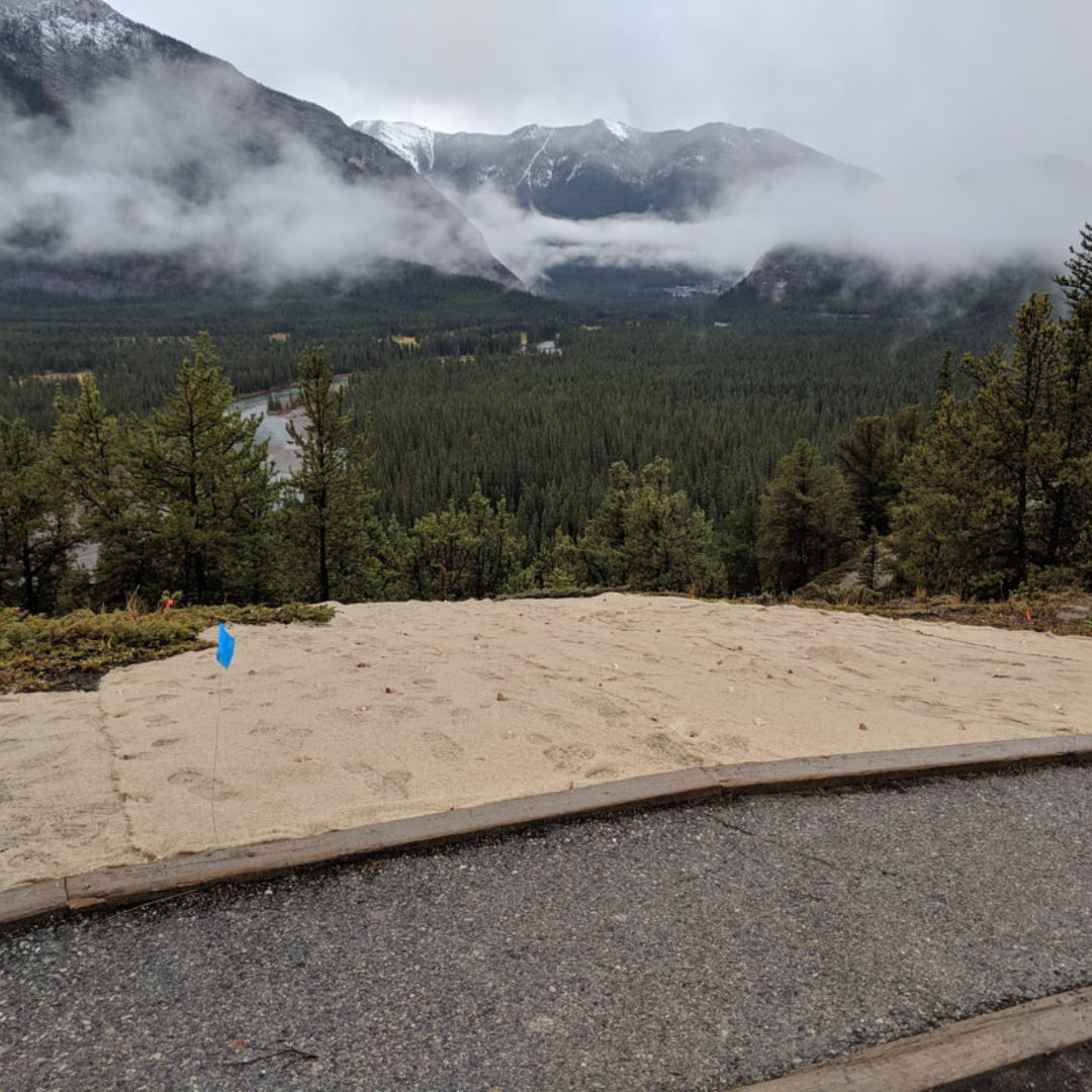 Erosion Control Blankets