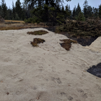Erosion Control Blankets