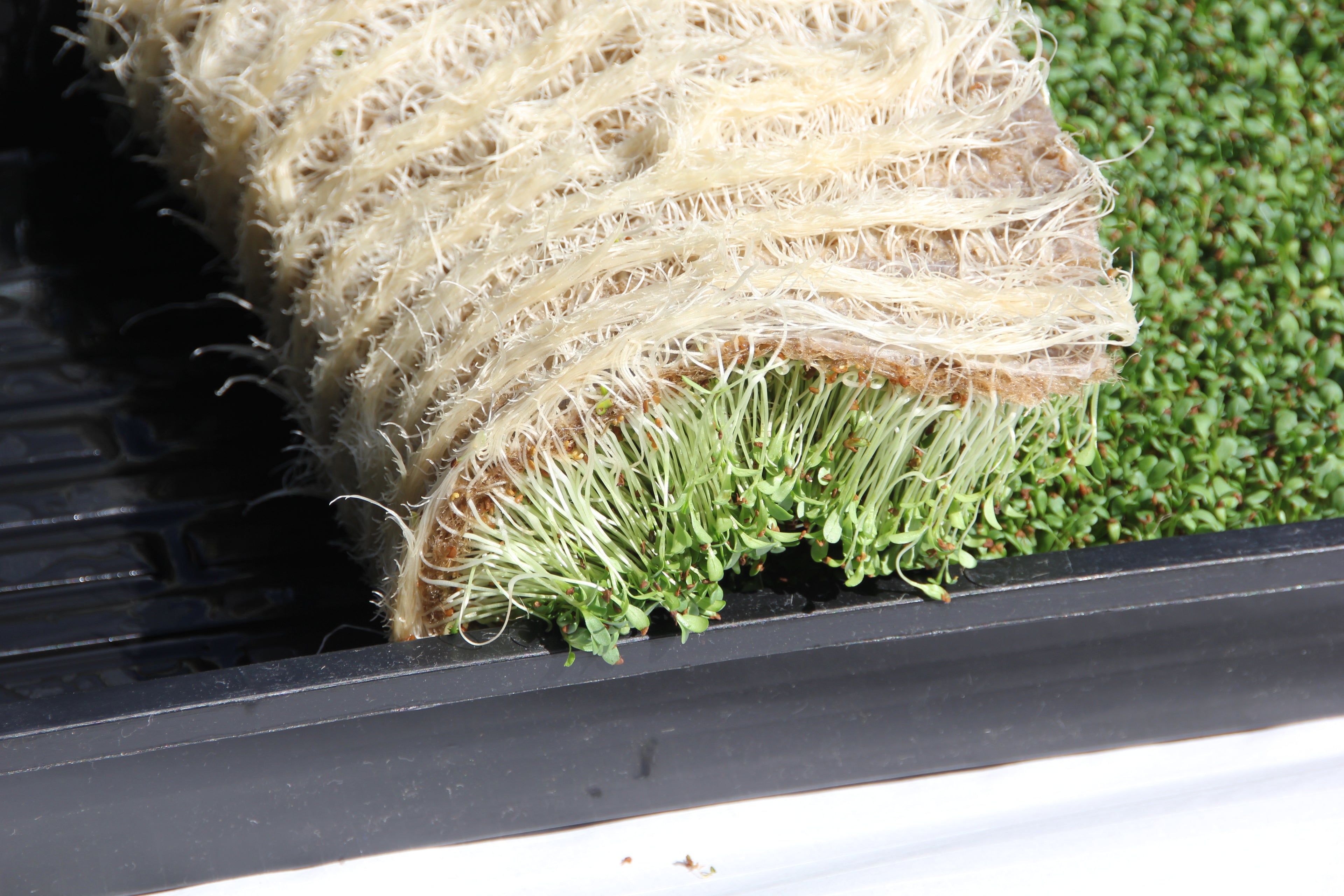 Terrafibre Hemp Grow Mats 10” x 20”