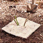 Wooden Bio Stakes