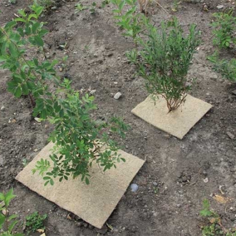 Terrafibre Hemp Tree Squares Grow Product