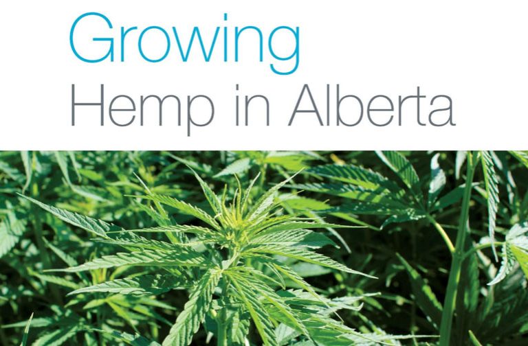 Growing Hemp in Alberta